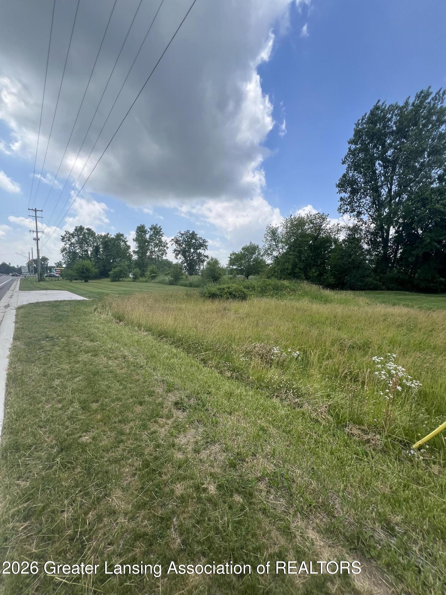V/l North Waverly Road Lansing, MI 48911 - Photo 1 of 1 IMG_4438