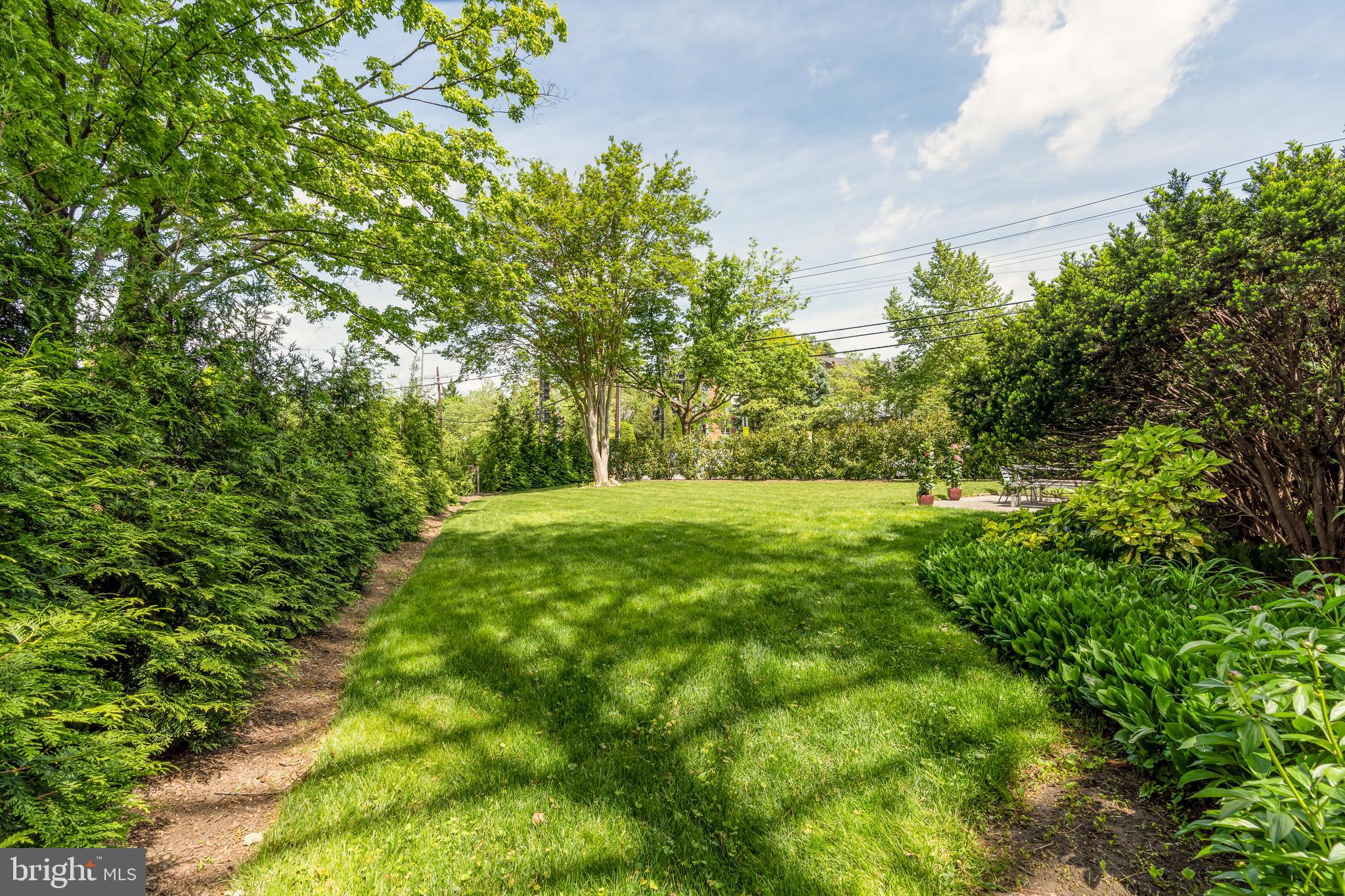 4770 Reservoir Road Northwest Washington, DC 20007 - Photo 50 of 50 Spacious yard with hundreds of Lily of the valley
