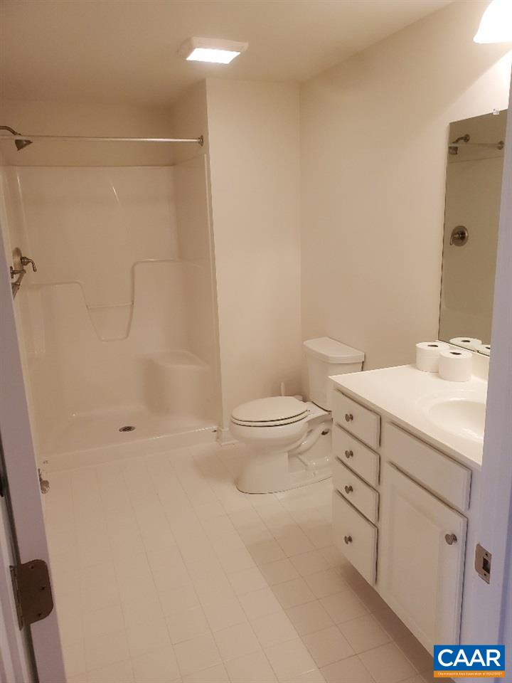 139 Wexford Ridge Road Ruckersville, VA 22968 - Photo 36 of 45 a bathroom with a sink a toilet and shower