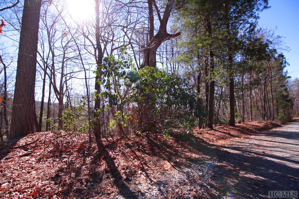 Lot 17 Arrowhead Ridge Road Brevard, NC 28712 - Photo 1 of 6 Gallery Image 1