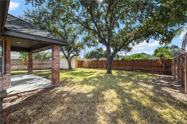 a view of backyard with tree