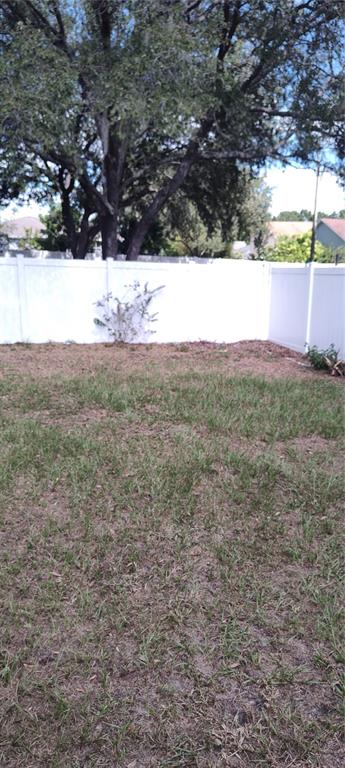 210 Chardonnay Place Valrico, FL 33594 - Photo 22 of 26 a view of a yard with an outdoor space