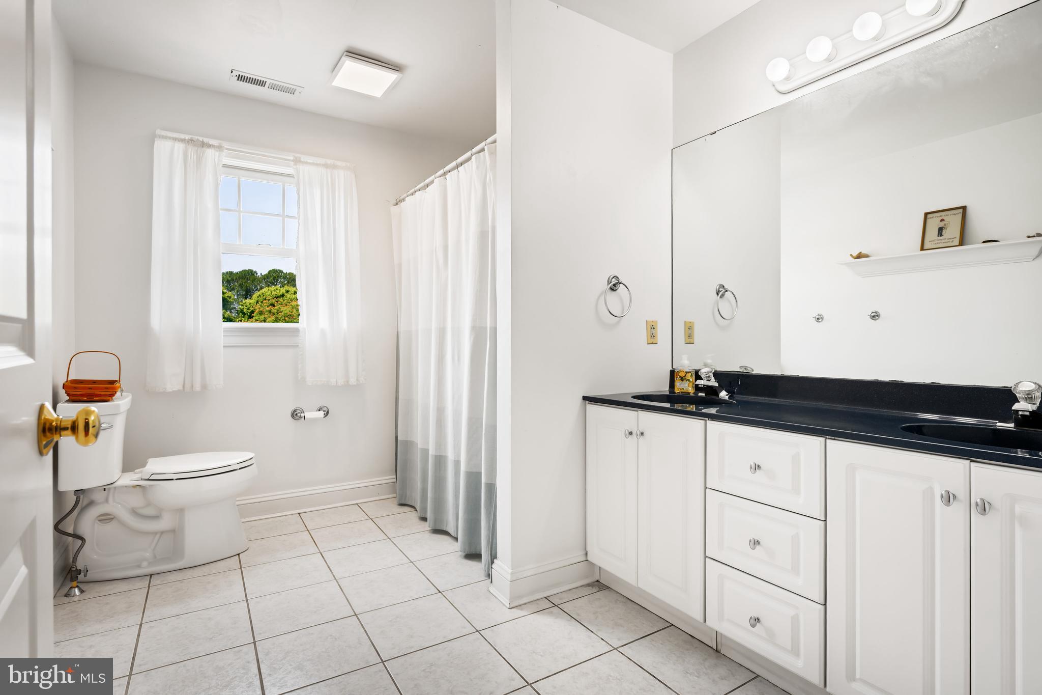 1009 South Washington Street Easton, MD 21601 - Photo 44 of 54 a bathroom with a granite countertop sink a toilet a mirror and shower