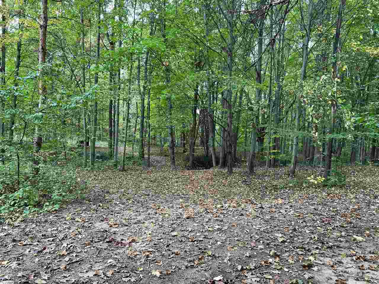 10273 East Stanley Road Davison, MI 48423 - Photo 70 of 76 50058258-69.JPG