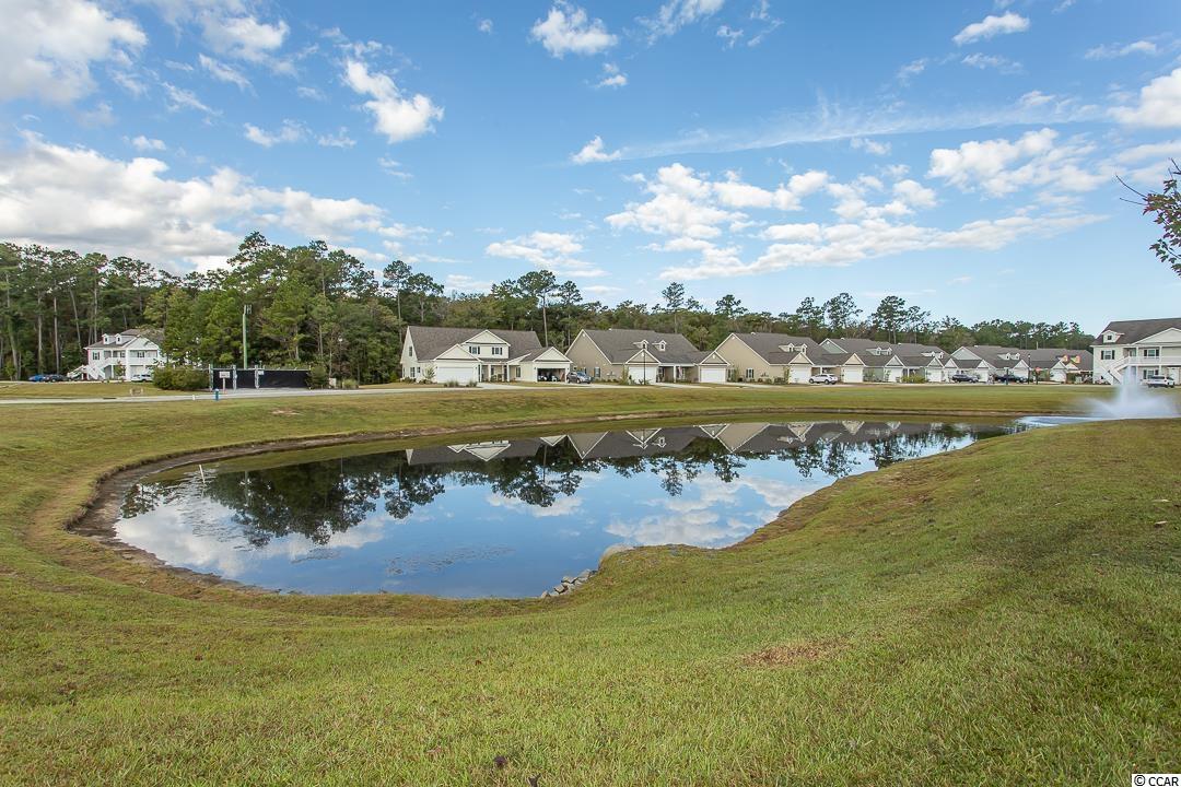 243 Moonglow Circle, Unit 202 Murrells Inlet, SC 29576 - Photo 11 of 25 Gallery Image 11