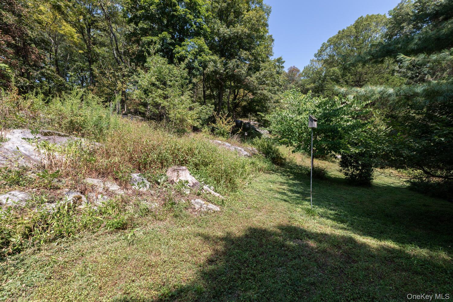 81 Glendale Road Ossining, NY 10562 - Photo 33 of 37 View of grassy yard featuring a view of trees, some of them fruit trees