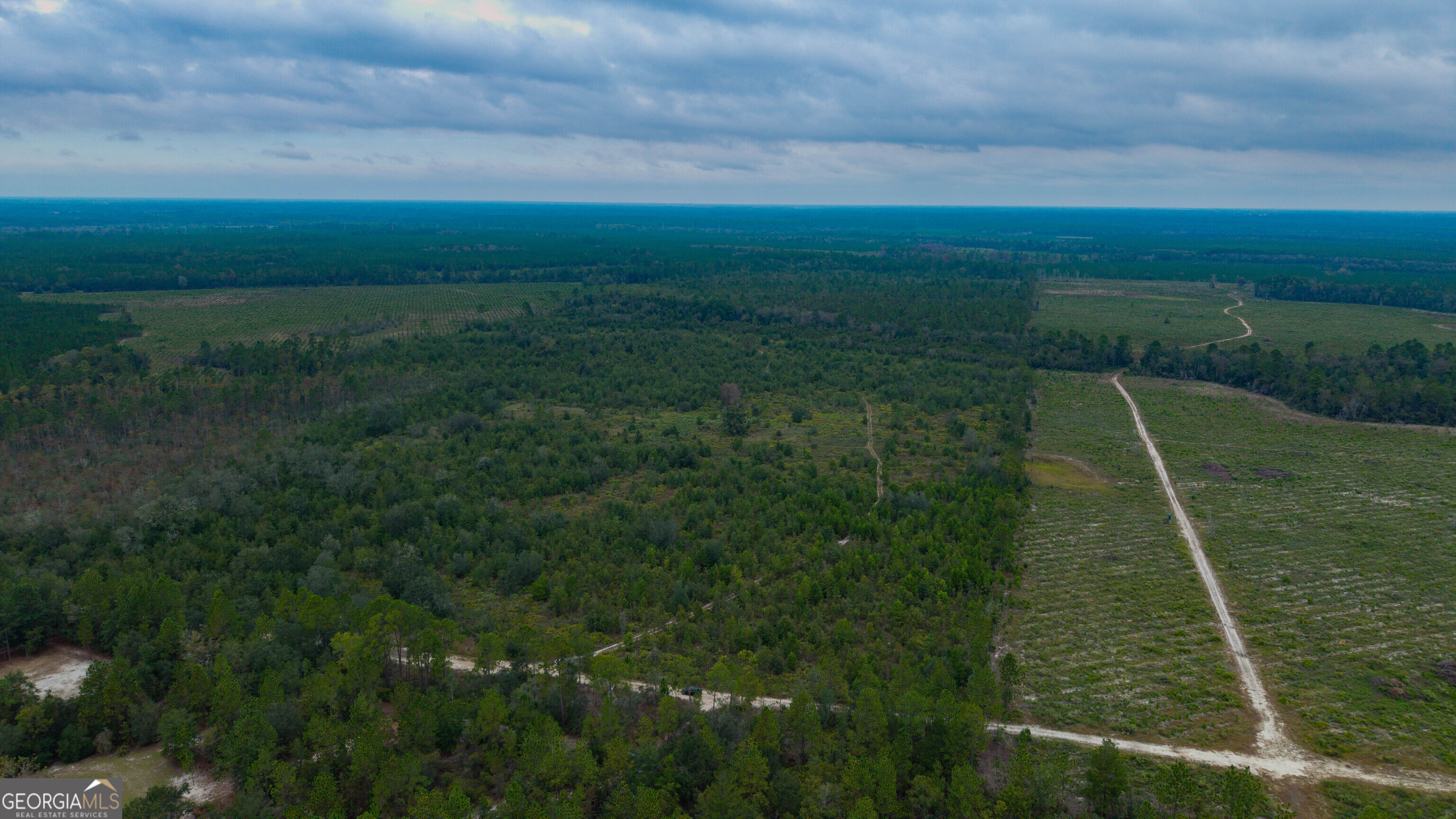 0 Bennett Road Screven, GA 31560 - Photo 8 of 52 Gallery Image 8