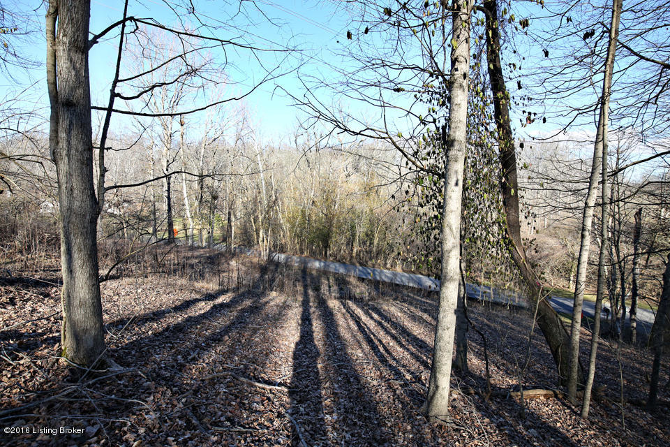 74 Westwind Road Louisville, KY 40207 - Photo 13 of 20 View looking down from lot
