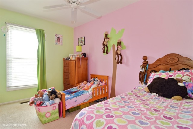 515 Rodenburg Road Roselle, IL 60172 - Photo 8 of 13