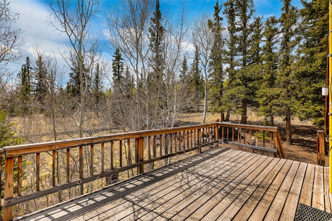 902 Hawk Way Como, CO 80432 - Photo 21 of 48 Gallery Image 21