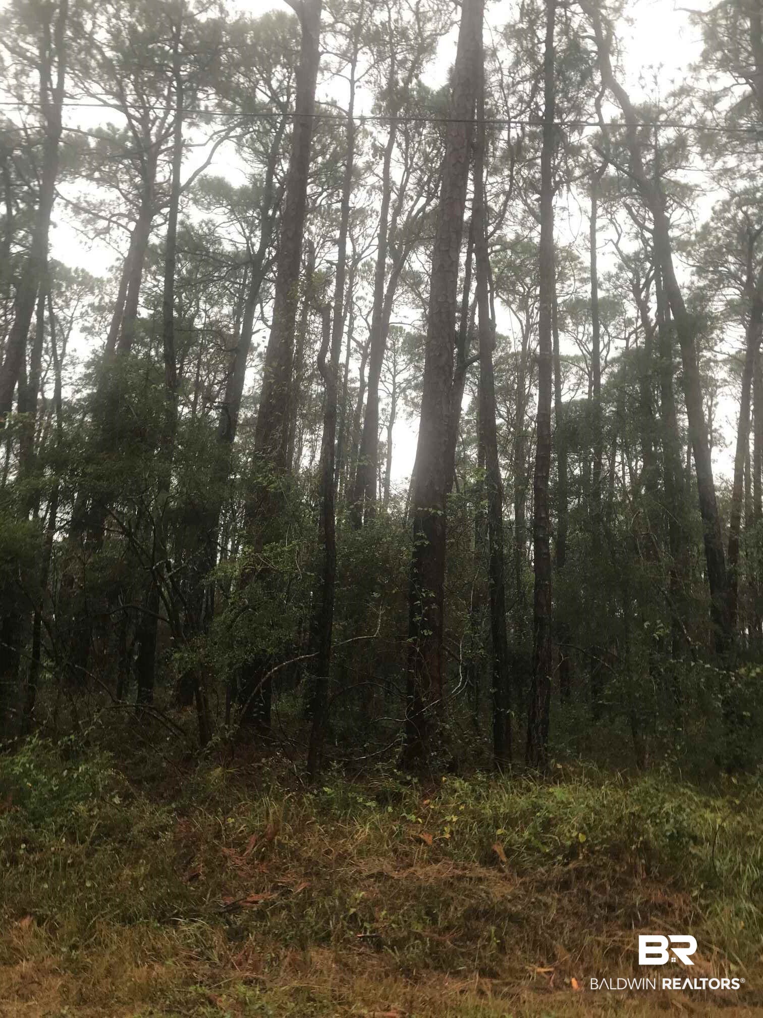 143 Natchez Street Dauphin Island, AL 36528 - Photo 6 of 7