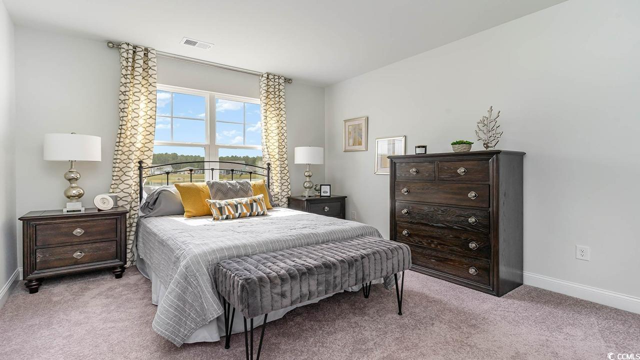 211 Lassoed Circle Murrells Inlet, SC 29576 - Photo 16 of 24 Gallery Image 16