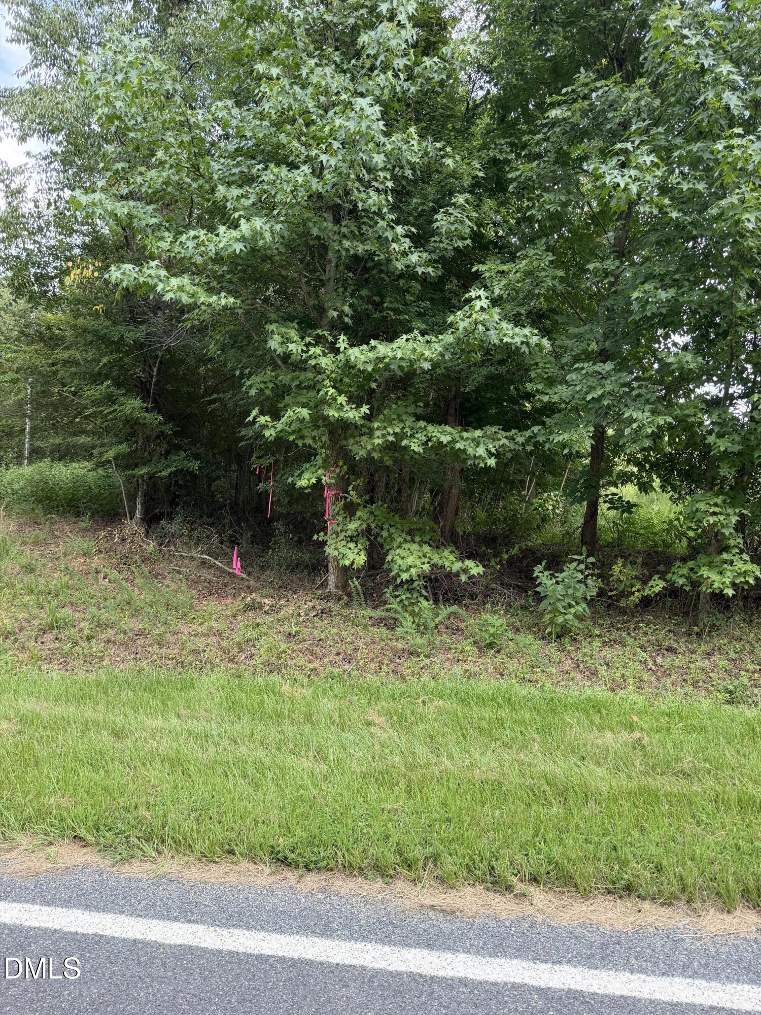 0 Chatham Church Road Moncure, NC 27559 - Photo 1 of 17 IMG_8900