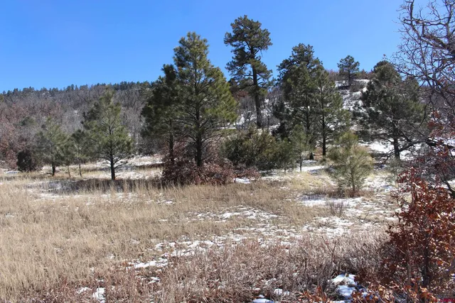 a view of a lake view