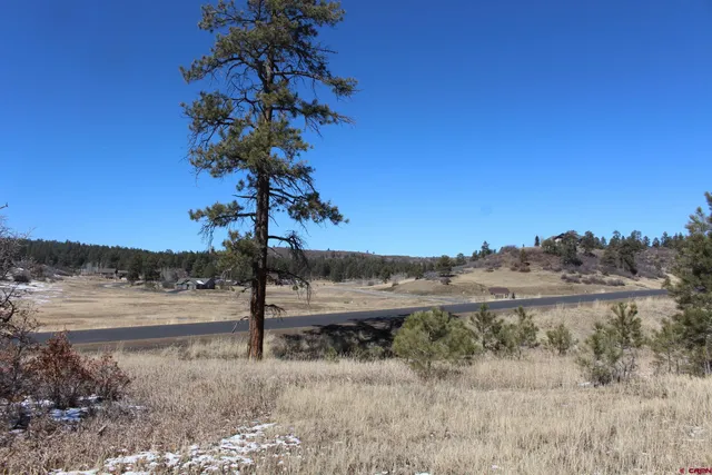 a view of a yard with an ocean view