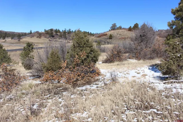 a view of a yard with a tree in the background