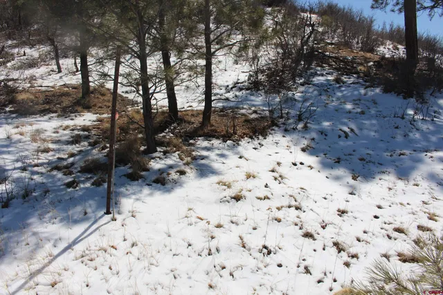 a view of a yard covered with snow