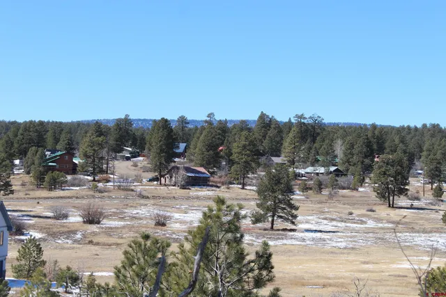 a view of swimming pool with outdoor seating and trees in the background