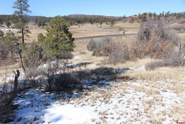 a view of a yard with mountain view