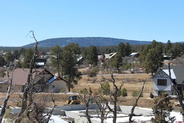 a view of a yard with a tree