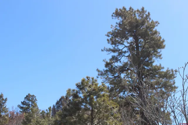 a view of a yard in front of a house