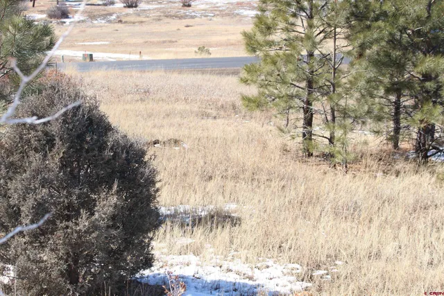 a view of covered with trees