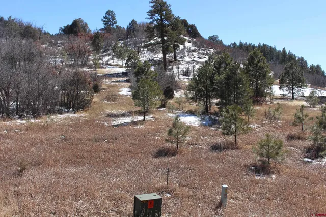 a view of a town with trees