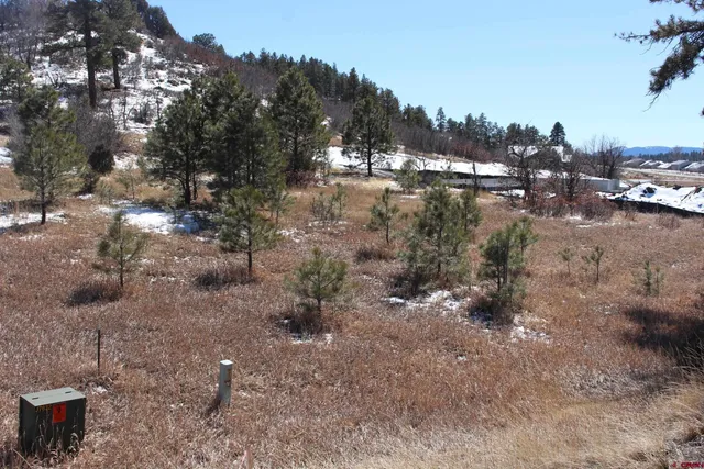 a view of a yard with a tree