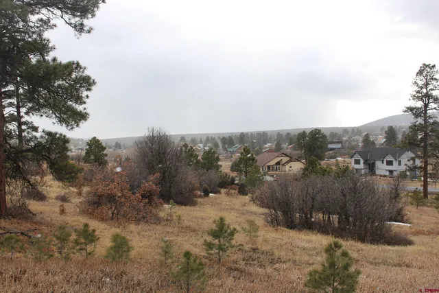 a view of a town with mountains in the background