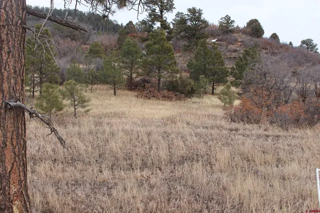 $79,900 | 269 Dylan Drive, Pagosa Springs, CO 81147