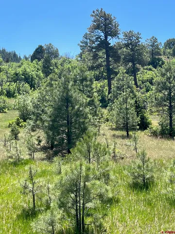 a view of a garden with a building