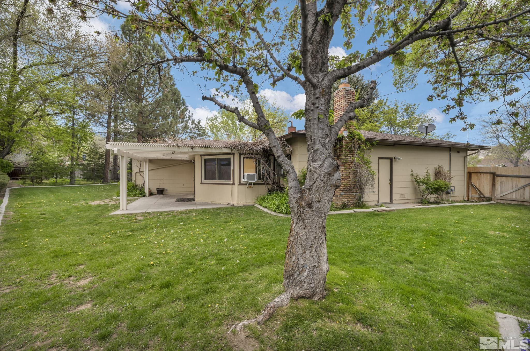909 Norrie Drive Carson City, NV 89703 - Photo 30 of 39 a view of a house with a backyard