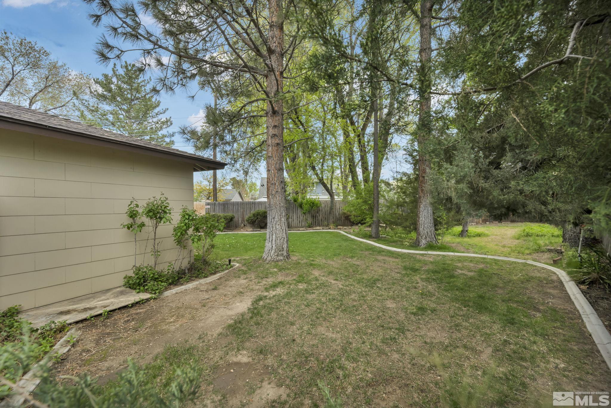 909 Norrie Drive Carson City, NV 89703 - Photo 32 of 39 a view of a backyard