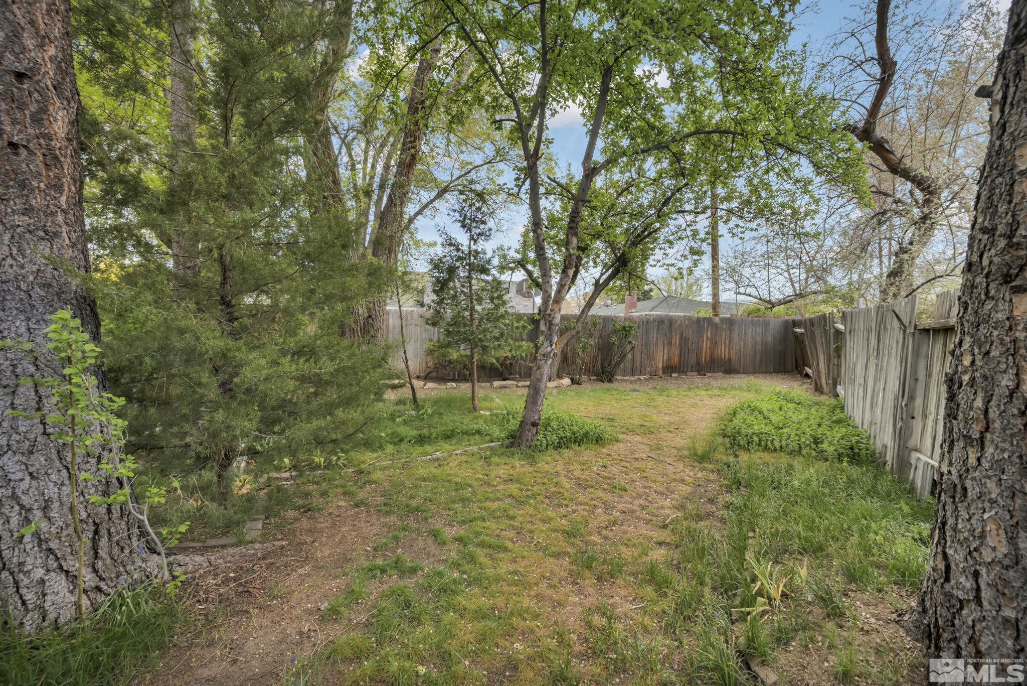909 Norrie Drive Carson City, NV 89703 - Photo 33 of 39 a garden view with a seating space