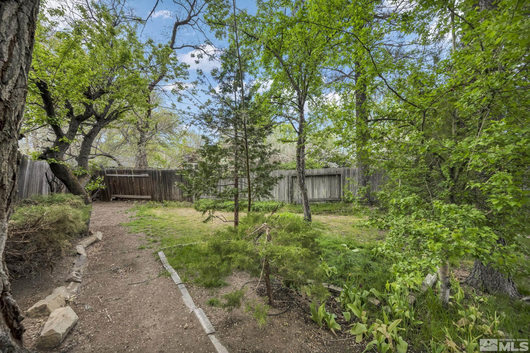 909 Norrie Drive Carson City, NV 89703 - Photo 35 of 39 a backyard of a house with lots of green space