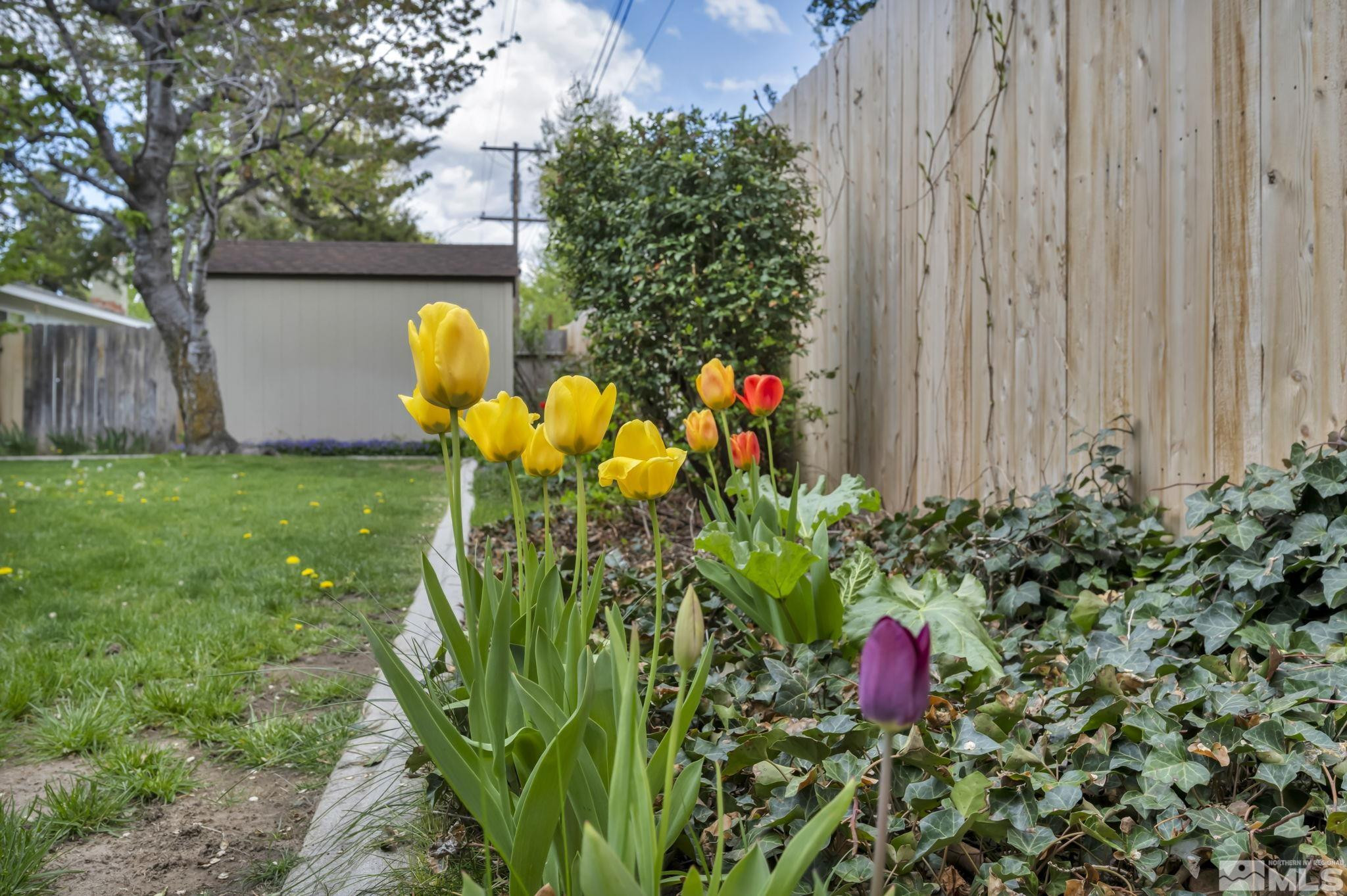 909 Norrie Drive Carson City, NV 89703 - Photo 36 of 39 a view of a flower in a garden