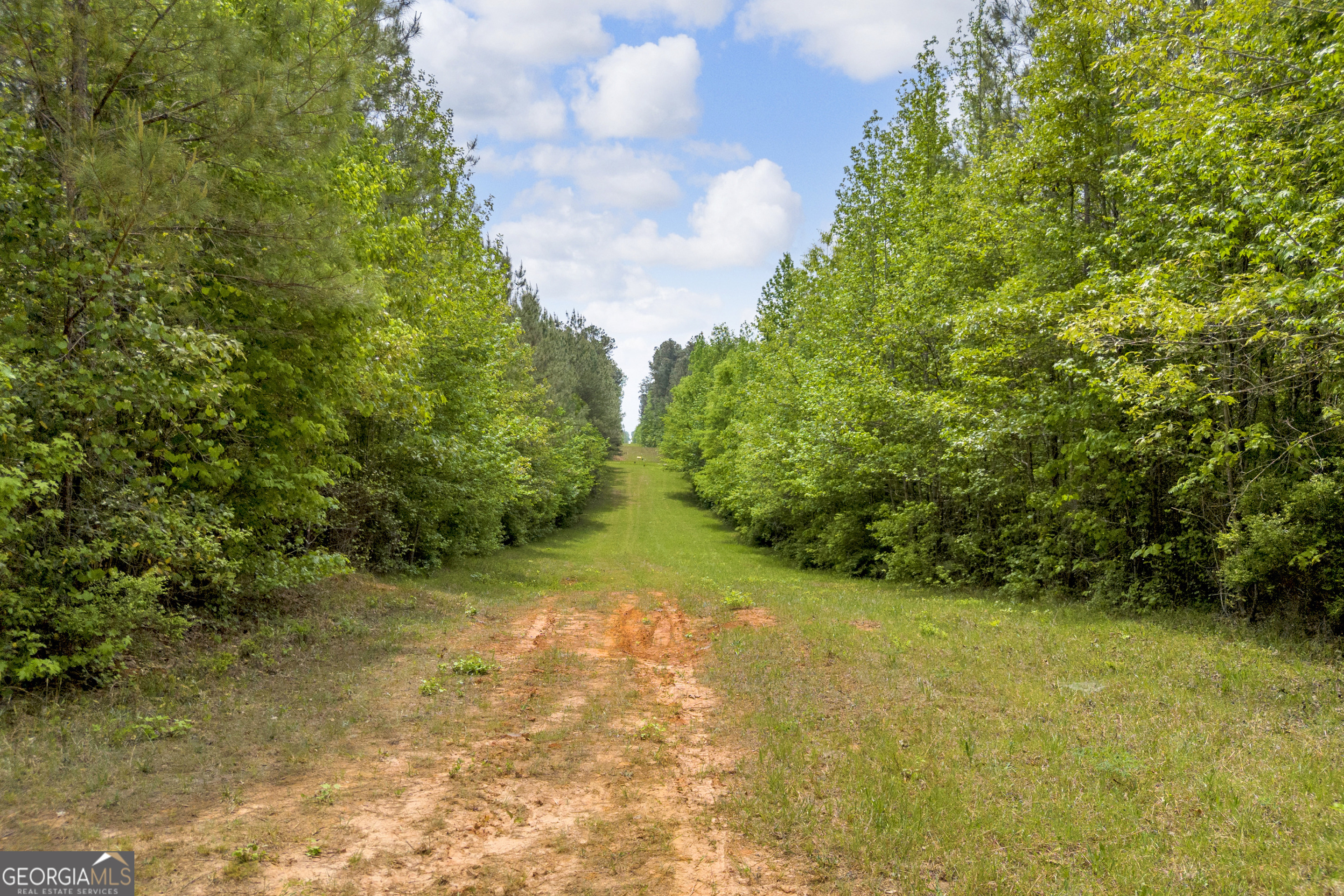 0 Upper Mill Road Northeast Crawfordville, GA 30631 - Photo 28 of 29 a view of a yard with plants and large trees