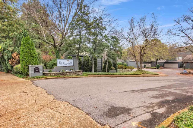 a street view with large trees