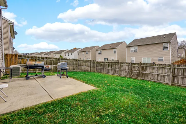 a view of a backyard with plants