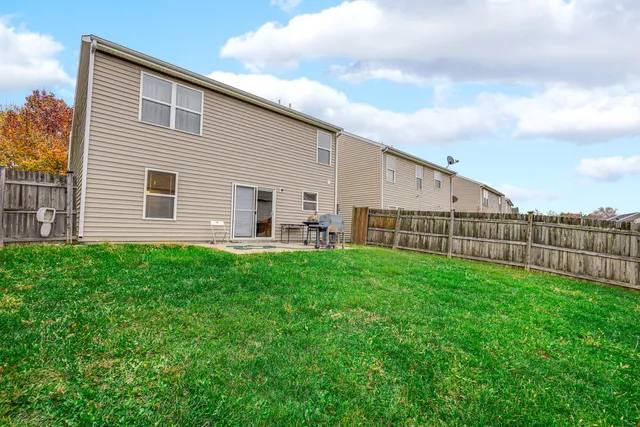 a view of a backyard with plants and large trees