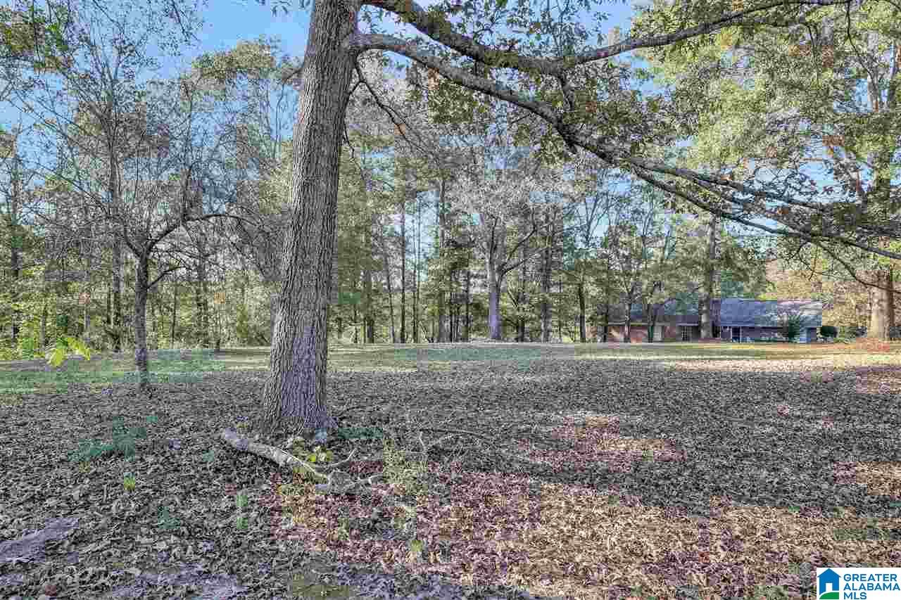 2868 Mt Moriah Road South Pell City, AL 35125 - Photo 34 of 40