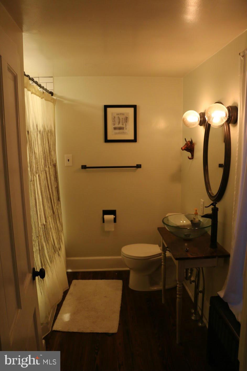 5635 Mountville Road Adamstown, MD 21710 - Photo 26 of 30 Bath (Master)