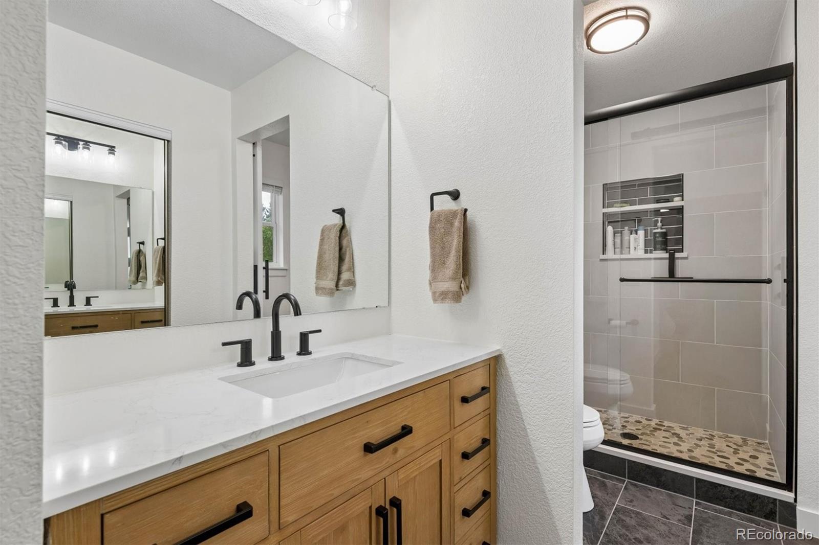 825 Northridge Road Highlands Ranch, CO 80126 - Photo 23 of 36