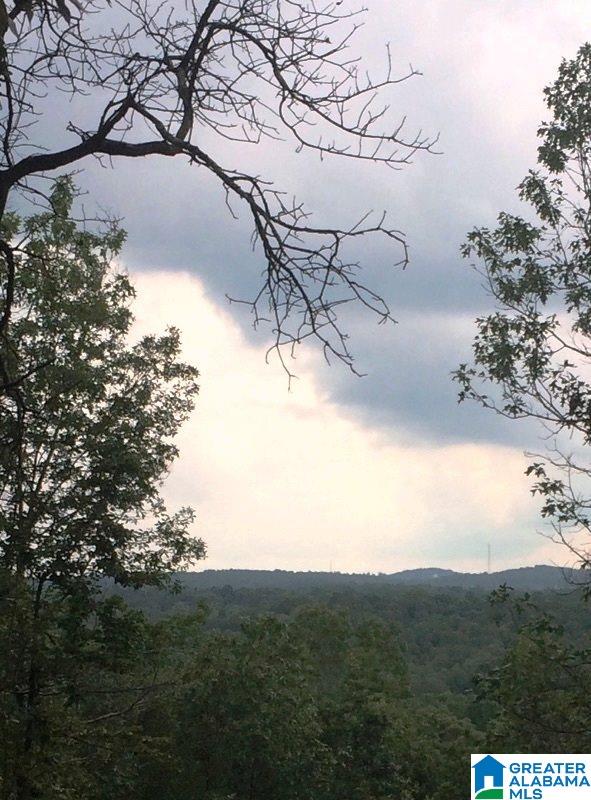 22-acres Clairmont Springs Road, Unit 22 ACRES Lineville, AL 36266 - Photo 10 of 16