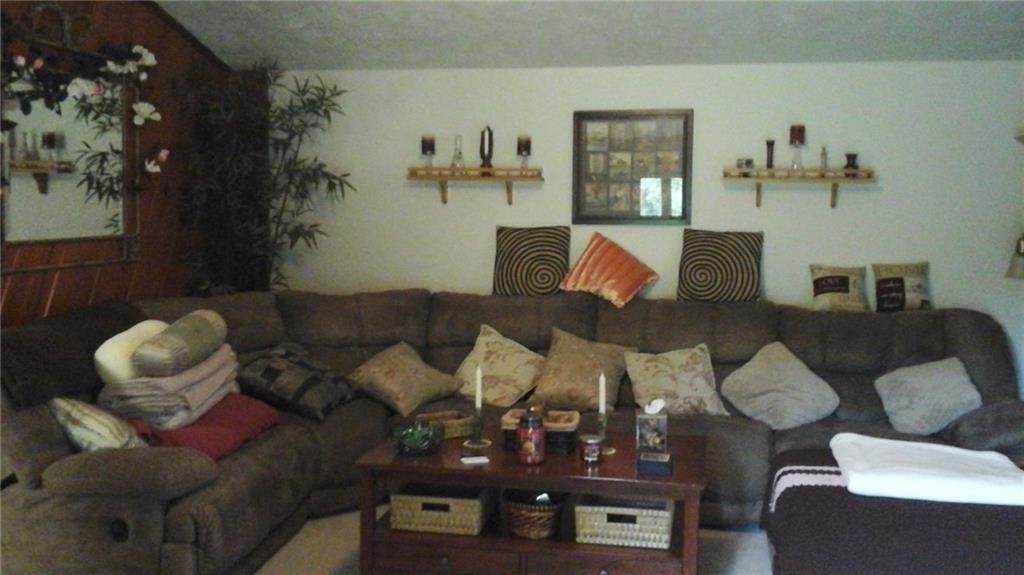 1051 Thompson Run Road Harwick, PA 15049 - Photo 11 of 19 Living Room with Pine walls and w/w carpet