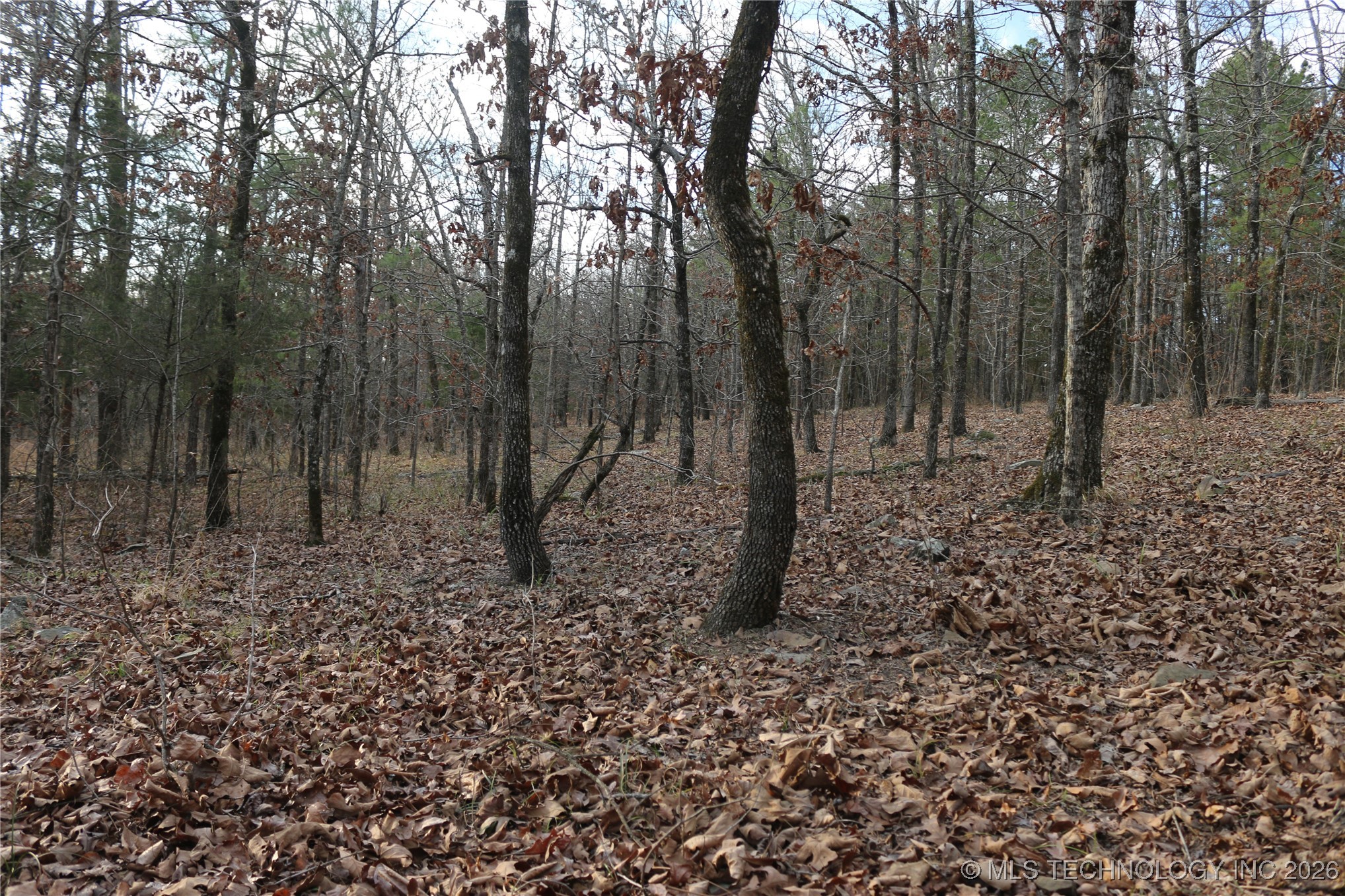 Marsh Loop Loop Smithville, OK 74957 - Photo 59 of 65 Gallery Image 59
