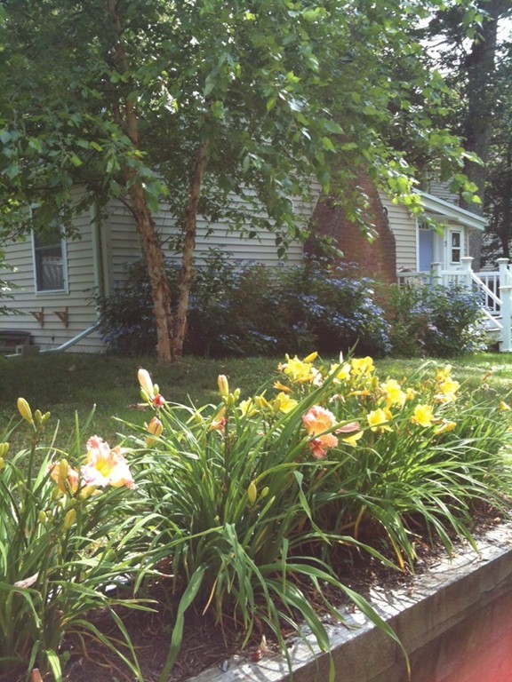 3 Willow Road Halifax, MA 02338 - Photo 3 of 17 Gallery Image 3