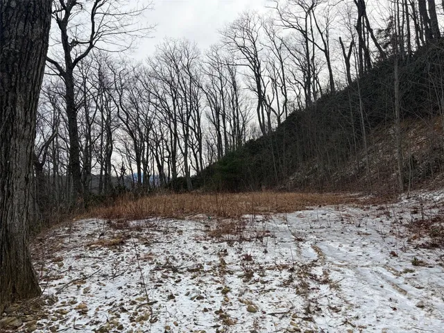 a view of outdoor space with lots of green space