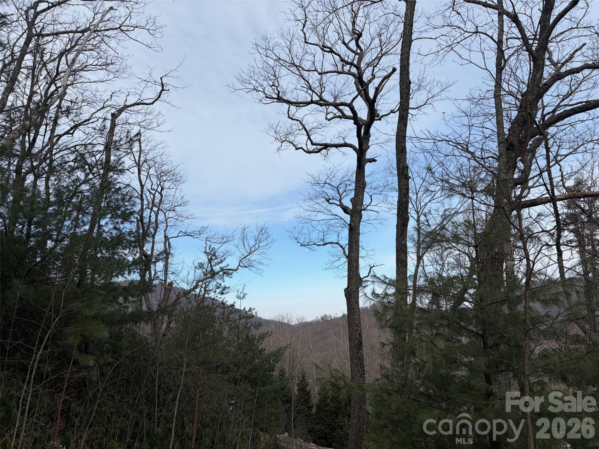 21 R Goodview Drive, Unit 21 Hendersonville, NC 28792 - Photo 7 of 9 a view of a tree in a yard