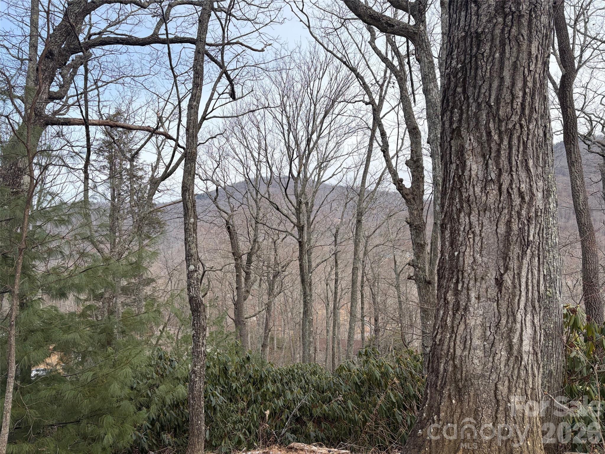 21 R Goodview Drive, Unit 21 Hendersonville, NC 28792 - Photo 8 of 9 a pathway of a yard